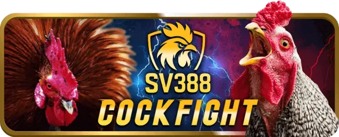 Bắt đầu chơi viva8 nổ hũ